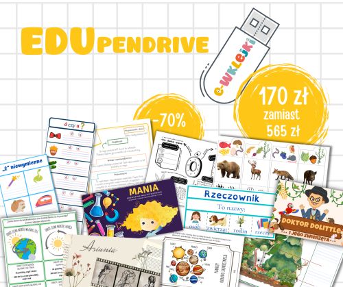 EduPendrive.png